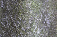 Ashley Down fibreglass roof work